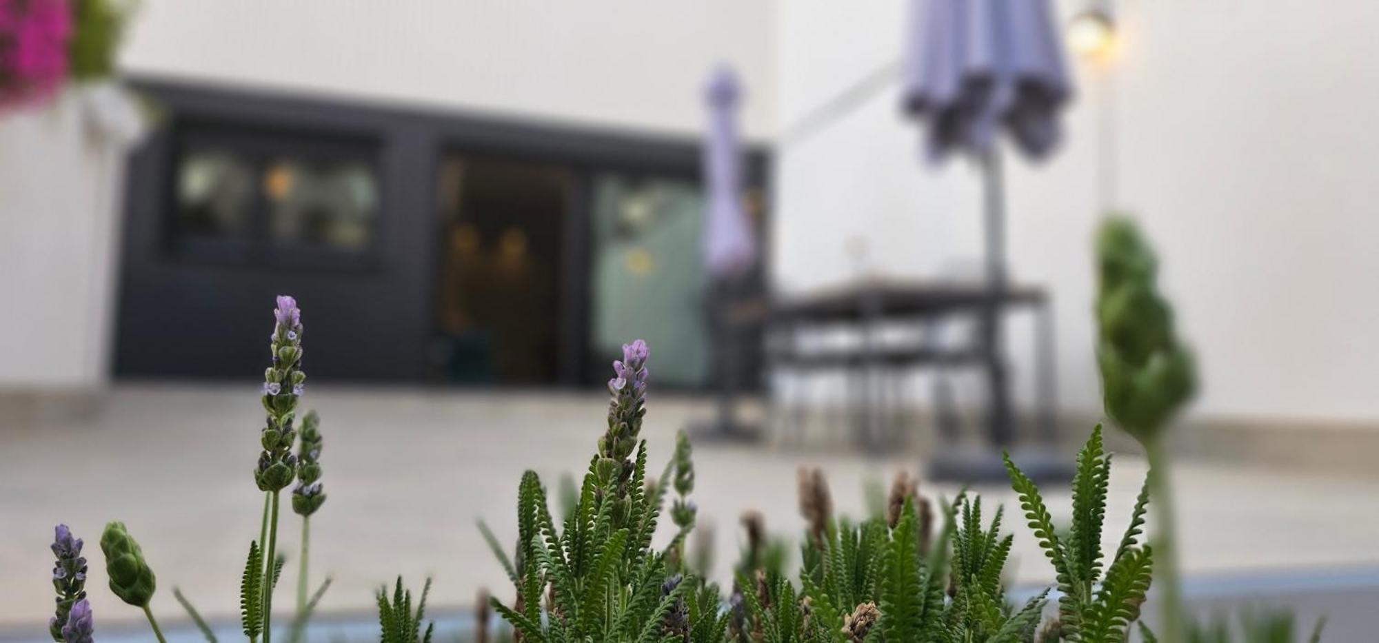 شقة Albayda Garden غرناطة المظهر الخارجي الصورة