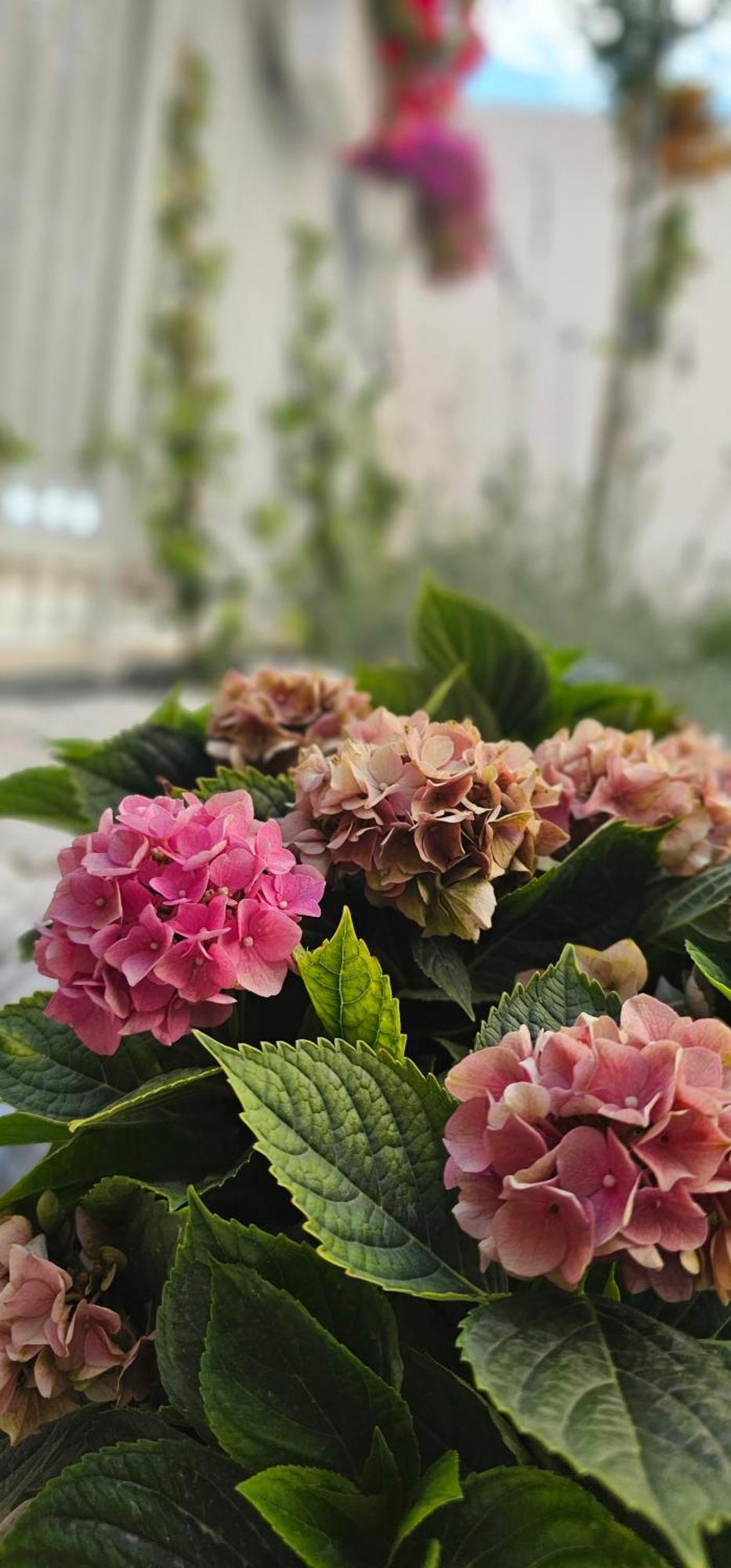 شقة Albayda Garden غرناطة المظهر الخارجي الصورة