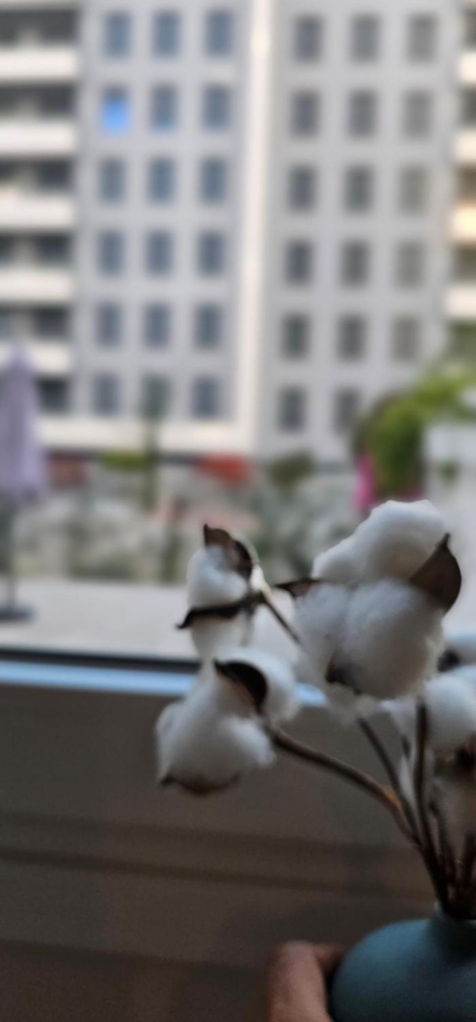 شقة Albayda Garden غرناطة المظهر الخارجي الصورة